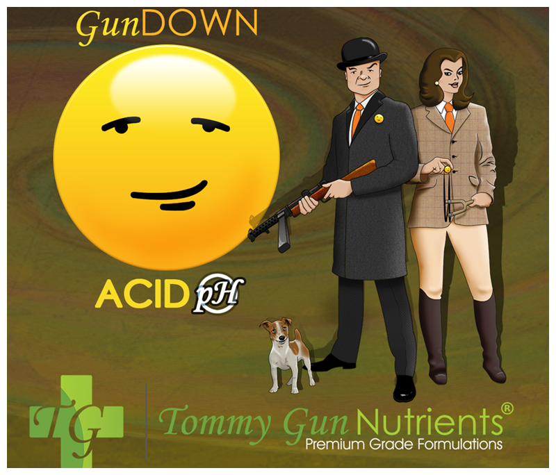 Tommy Gun Nutrients Gun DOWN ACID pH 